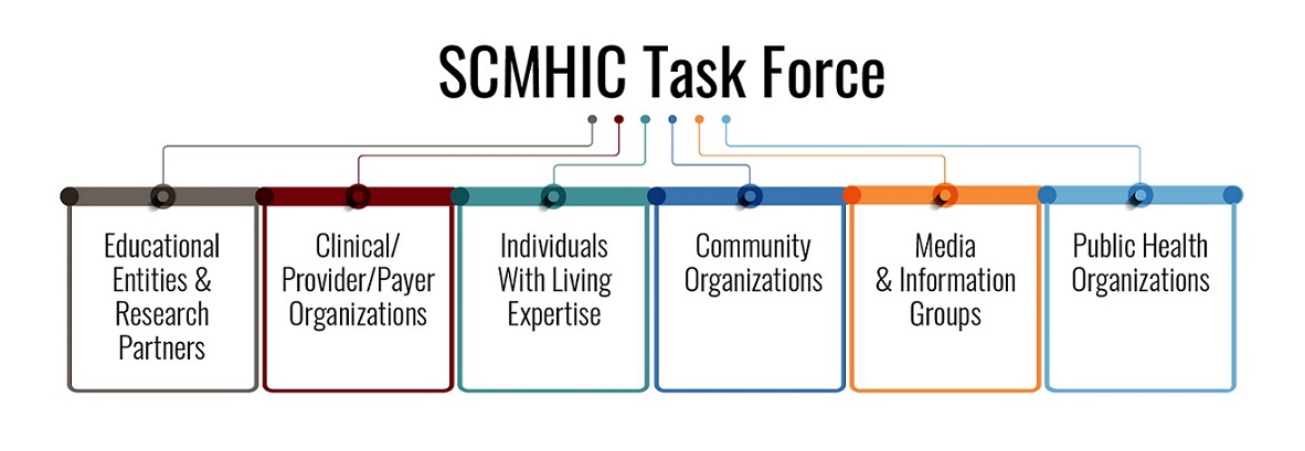 SCMHIC Task Force participating groups.