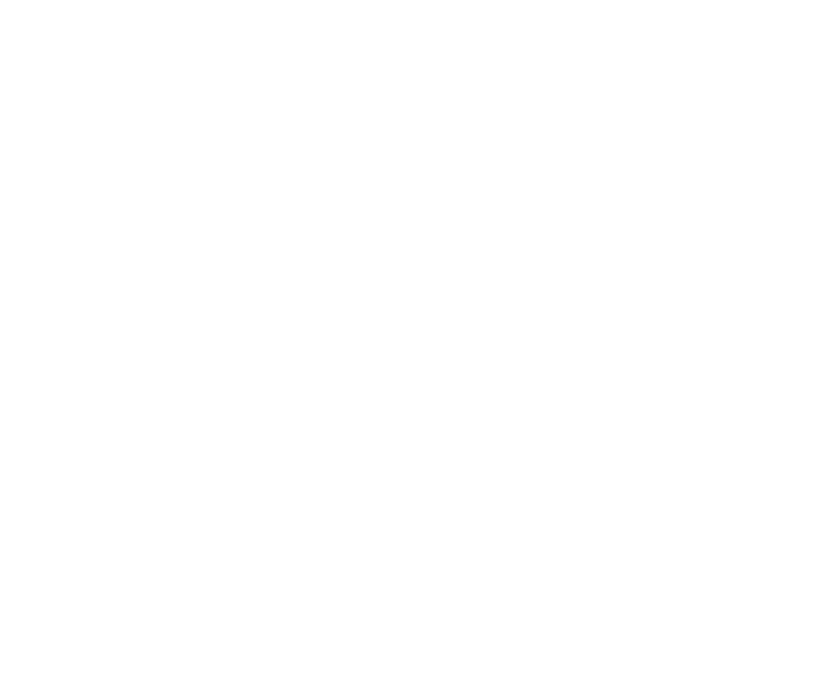 Institute for Families in Society logo