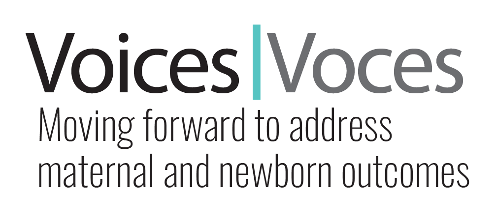 Voices/Voces english logo.