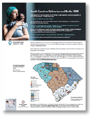 Click here for the SC Deliveries and Births 2018 factsheet Click here for the SC Deliveries and Births 2018 fact sheet