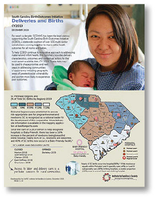 Click here for the SC Deliveries and Births 2019 fact sheet Click here for the SC Deliveries and Births 2019 fact sheet